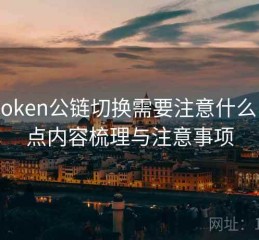imToken公链切换需要注意什么，重点内容梳理与注意事项