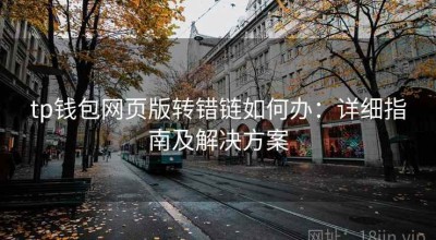 tp钱包网页版转错链如何办：详细指南及解决方案